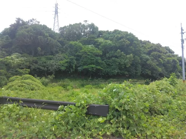 サムネイル20